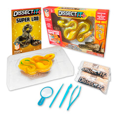 Dissect It rattlesnake kit box setup for classroom-friendly anatomy exploration.