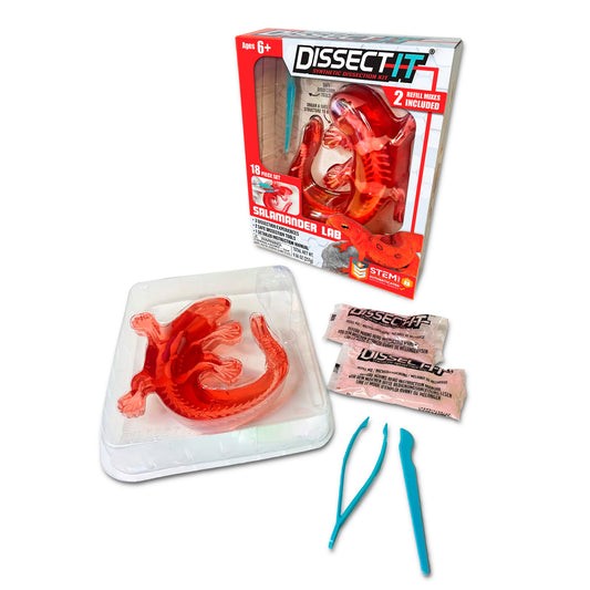 Dissect-It Salamander kit front view for hands-on learning and safety