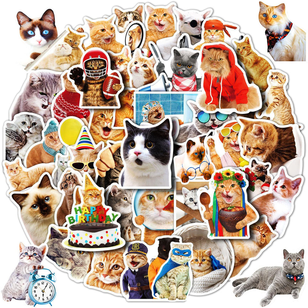 DothRayan cat stickers collection on a laptop for playful personalization