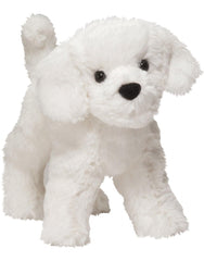 Douglas Dandelion Puff Bichon face with soft fur for cuddling.