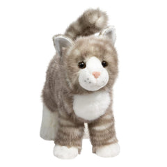 Douglas Zipper gray tabby cat face showing lifelike expression for storytelling