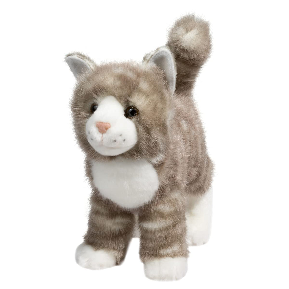 Douglas Zipper gray tabby cat in stand-up pose inviting pretend adventures