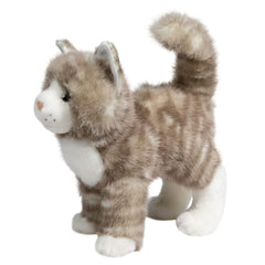 Douglas Zipper gray tabby cat striped coat adds visual appeal for display