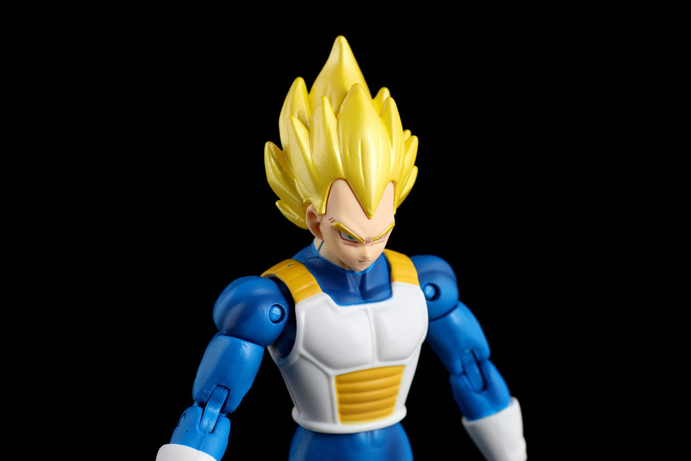 Dragon Stars Vegeta ver2 packaging box for safe storage and display