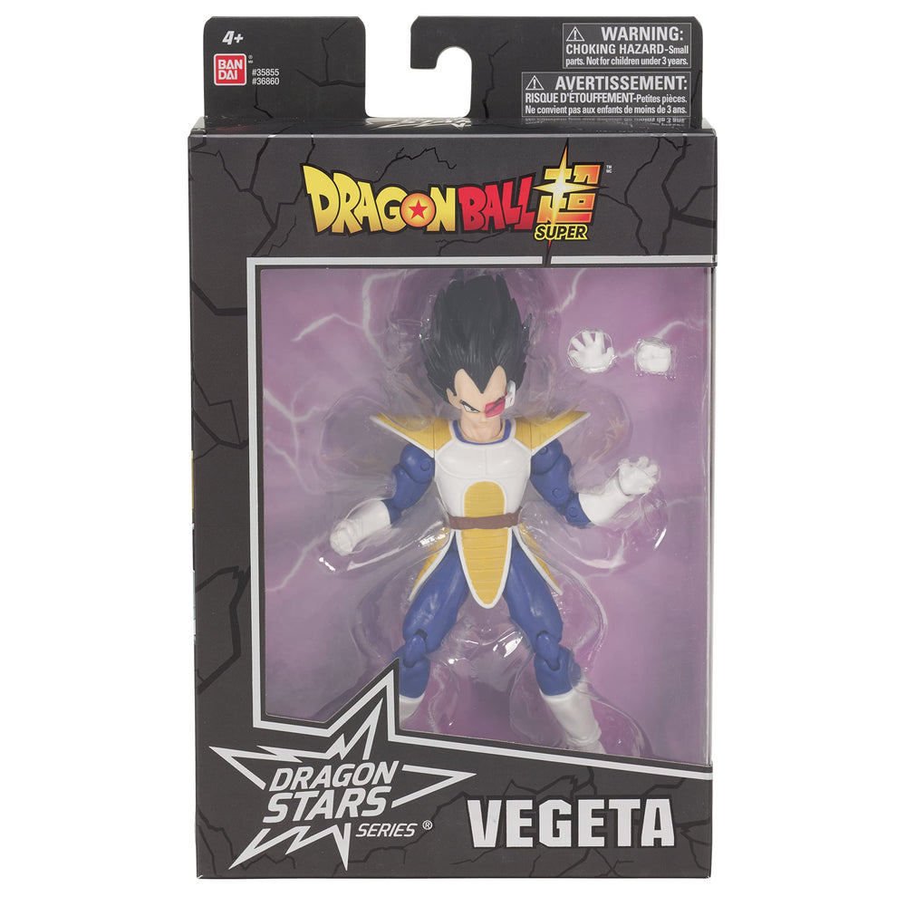 Dragon Stars Vegeta Kai ver armor-texture detail highlights high-quality sculpting.