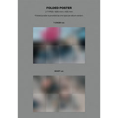 DREAMUS Stray Kids MAXIDENT Standard Edition T-CRUSH Black folded poster completes the collection