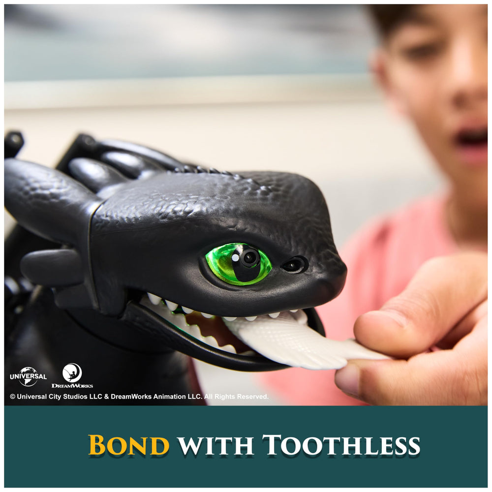 DreamWorks Toothless bonding during stages of trust and learning