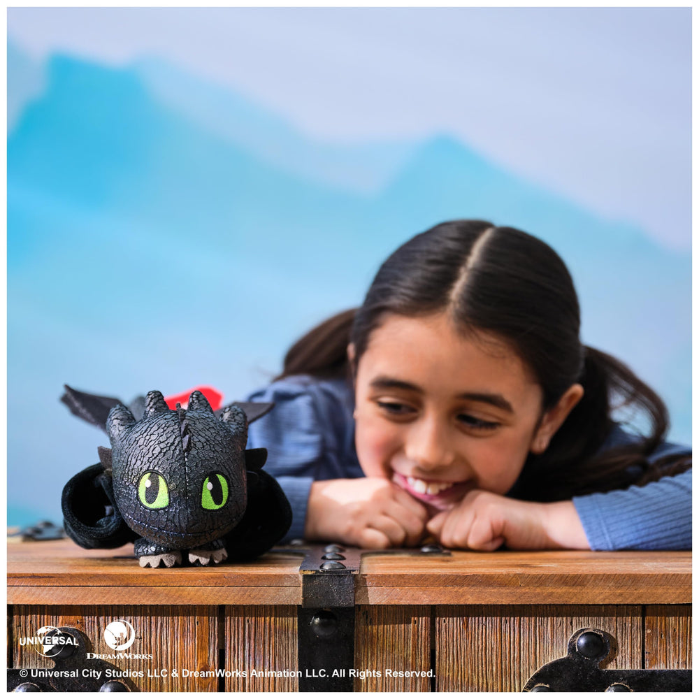 DreamWorks Dragons Toothless gift-ready packaging ideal for gifting occasions.