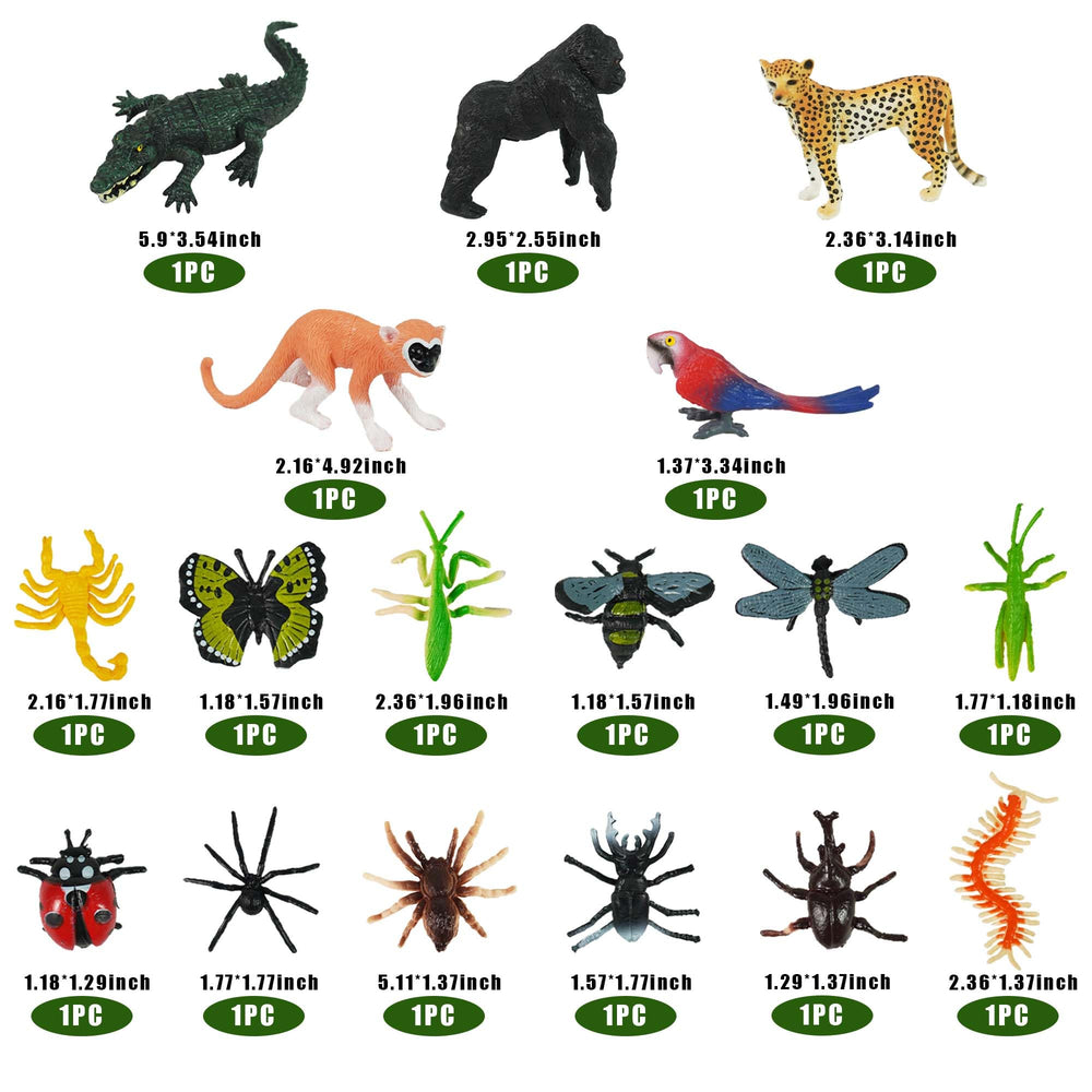 DRWATE rainforest insects figures add realistic detail to dioramas and displays.