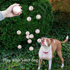 Dshengoo beach pool stress ball toy suitable for summer gatherings
