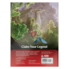 Heroes of Faerun regions map helps plan adventures across Forgotten Realms.
