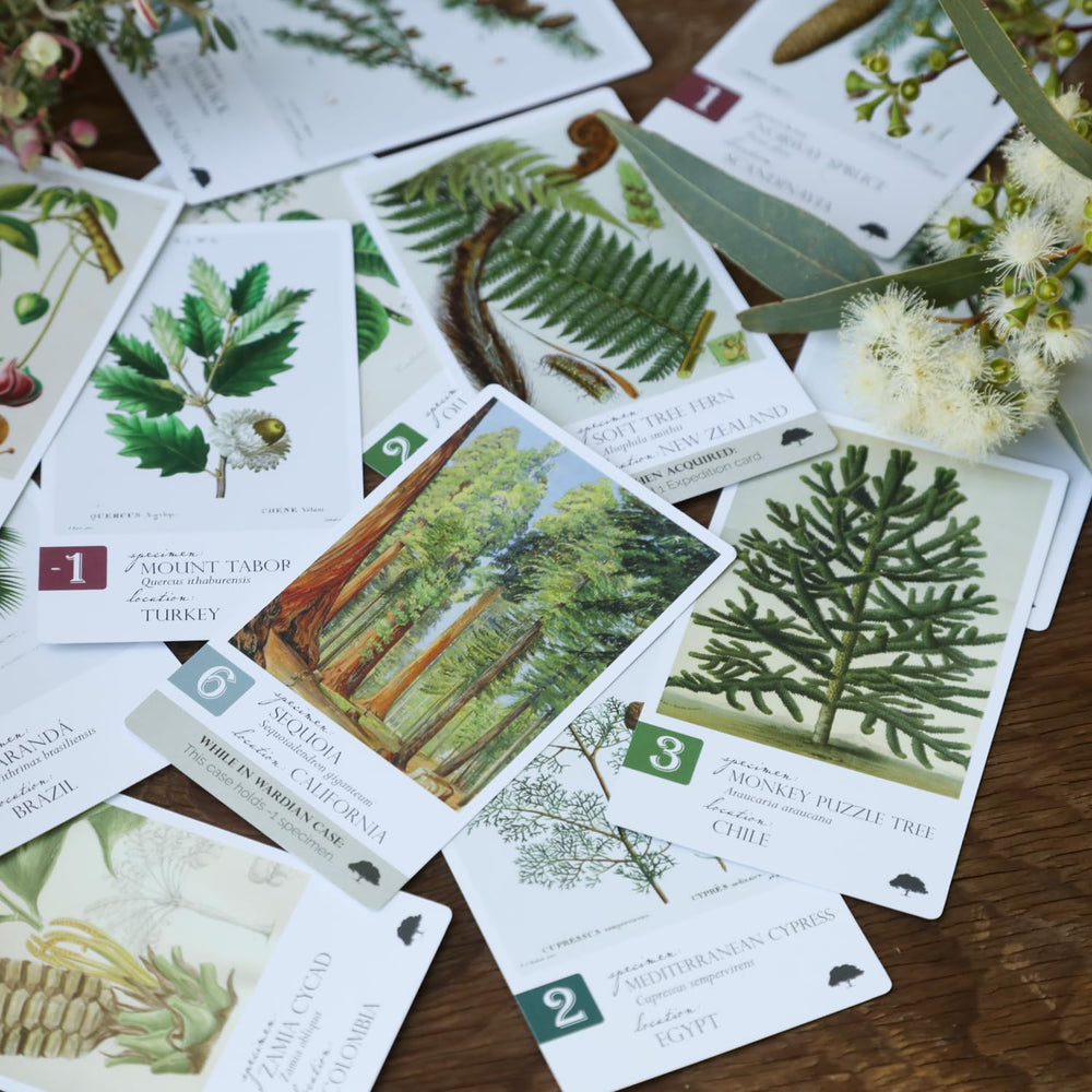 Dux Somnium Botany Tantalizing Trees illustration cards showcase Victorian flora.