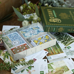 Dux Somnium Botany Tantalizing Trees expansion play area scene for family game night.