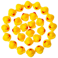 DZTIAN compact packaging keeps ducks organized for gifting or storage