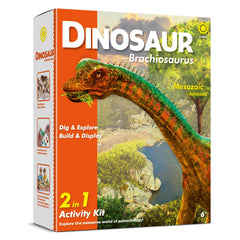 Eggbox Brachiosaurus display model is ready for shelves and science corners.