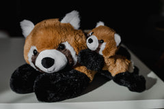 EH Exceptional Home baby shower gift panda duo for panda lovers.