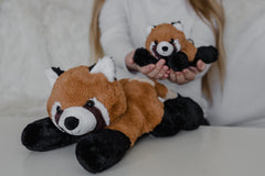 EH Exceptional Home bedtime companion panda plush for comforting routines.