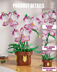 EITOLNR Orchid buds and flowers image shows lifelike display.