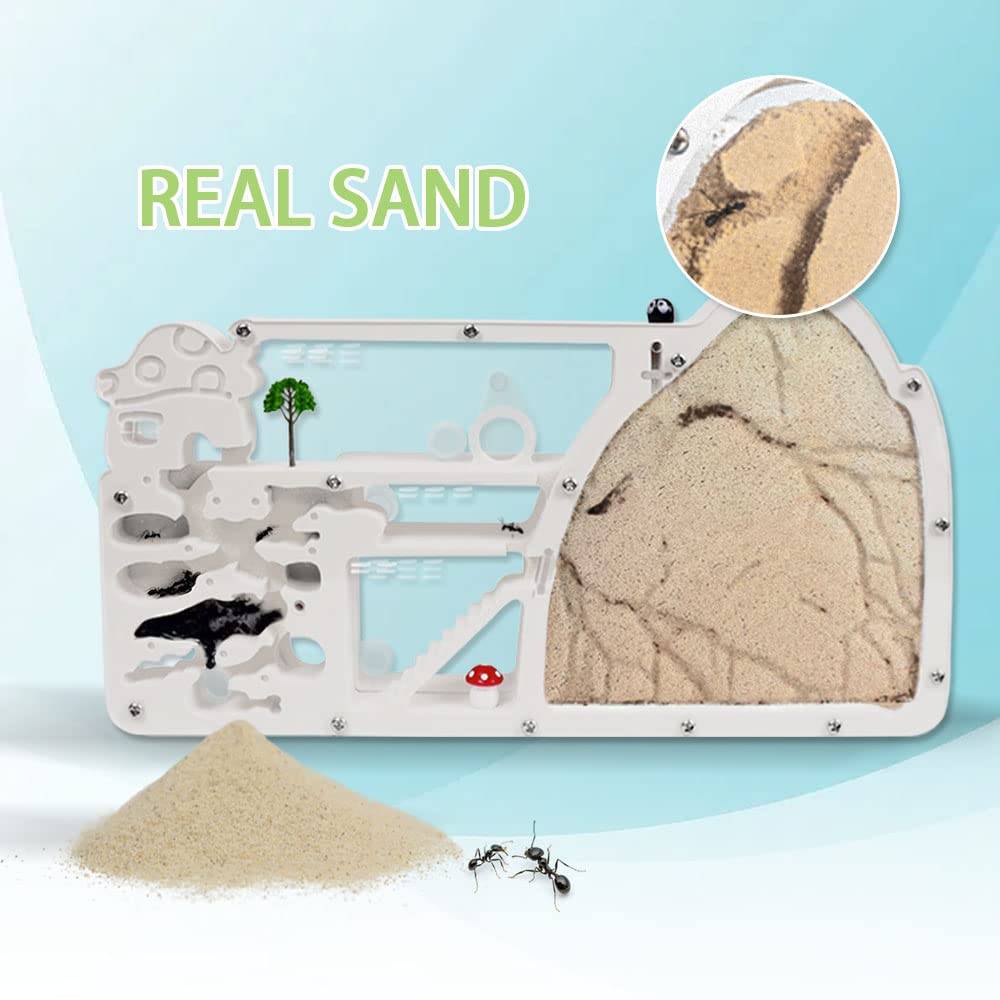 ELNMLHT ant farm castle with multi‑area layout for easy ant care and study.