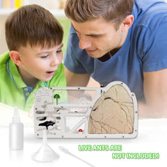 ELNMLHT educational use of the ant farm for kids and adults.