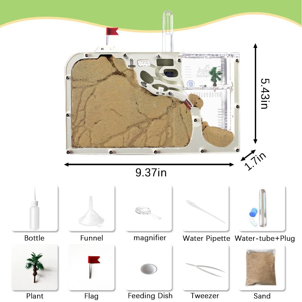 ELNMLHT ant farm water tower demonstrates automatic moisture delivery.