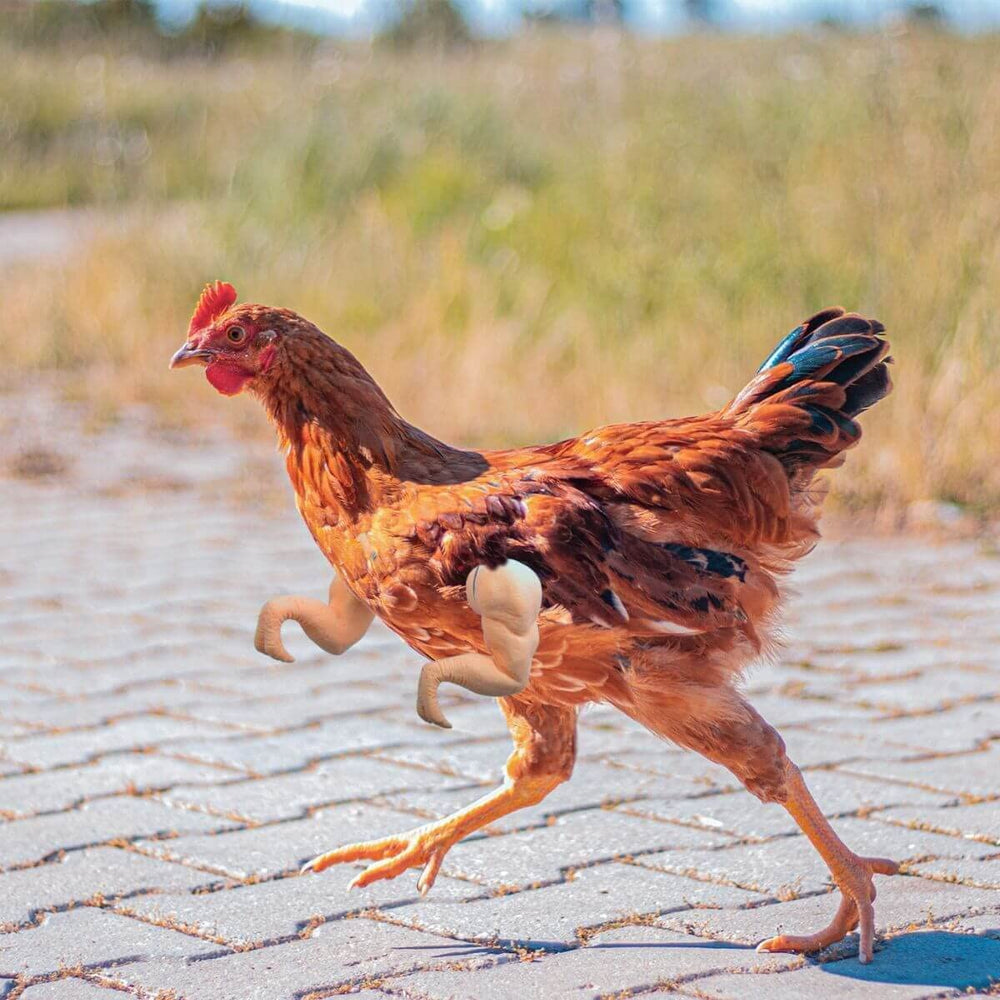 Enrichoice Halloween party ready arms help your chicken stand out.