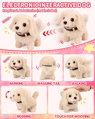 Grooming and feeding accessories included for caring play with Eohemeral