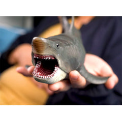 EOIVSH Ocean education model for classroom and home display