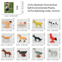 Esoes Montessori language materials supporting photo-card matching