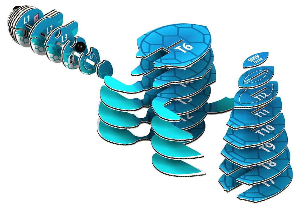 EUGY Sea Turtle 3D Puzzle kids assembly focused image demonstrates fine motor skill practice.