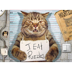 EuroGraphics Feline Felon cat mug-shot puzzle image, ideal for lighthearted family game nights.