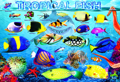 EuroGraphics Tropical Fish 100-Piece Puzzle finished layout reveals vivid underwater artwork.