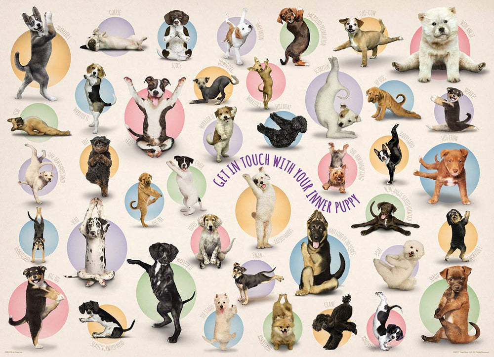 EuroGraphics Yoga Puppies box and pieces — box and pieces ready for a quick start.