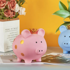 EVTHSU gift-ready pink piggy bank packaging for birthdays.