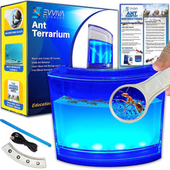 Evviva Ant Habitat with LED base for bright, engaging science play.
