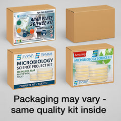 Evviva Sciences classroom microbiology kit for hands-on STEM learning