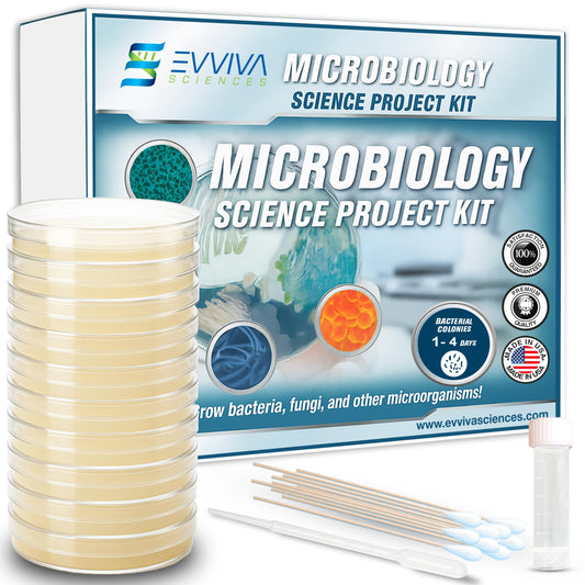 Evviva Sciences pre-poured agar plates for classroom microbiology projects