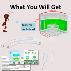 EXBEPE ant farm learning activity with curious kids enhancing observation and focus.