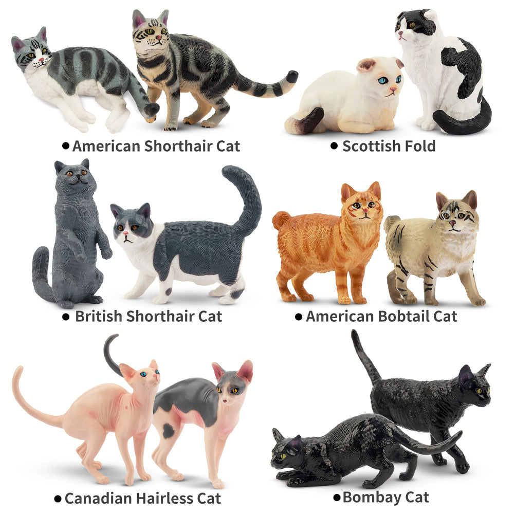 EYSCOTA Canadian Hairless cat figurine suitable for display and learning.