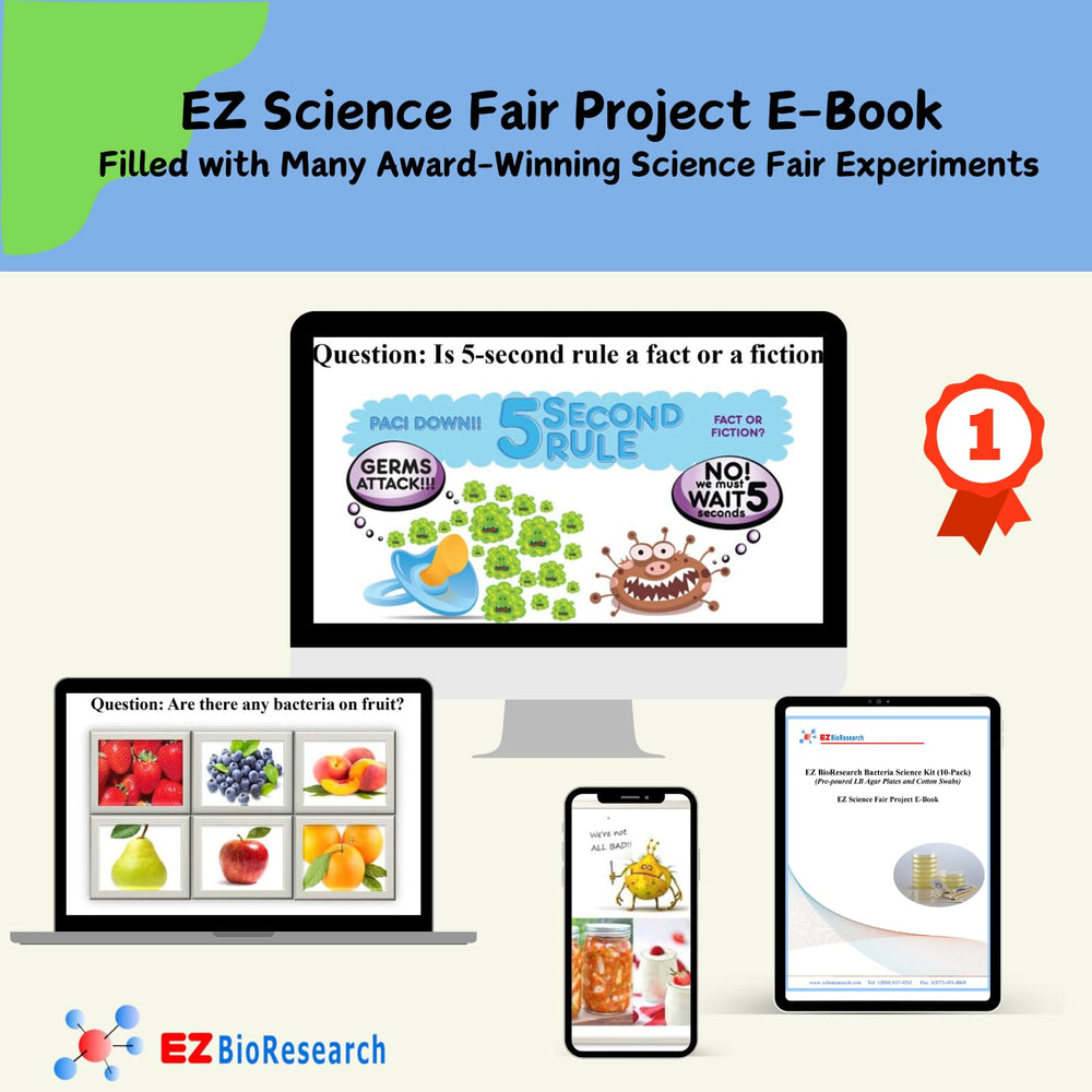 EZ BioResearch Gift Pack box and contents ready to explore