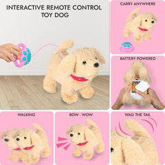Fash N Kolor plush bone toy supports feeding and pretend friendly fetch