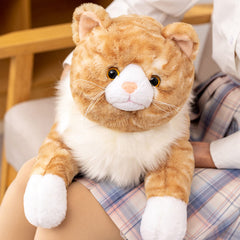 Fawowe weighted plush cat face close-up showing soft fur texture