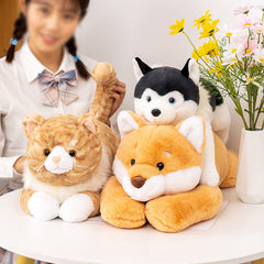 Fawowe cat weighted plush packaging showing vacuum compression