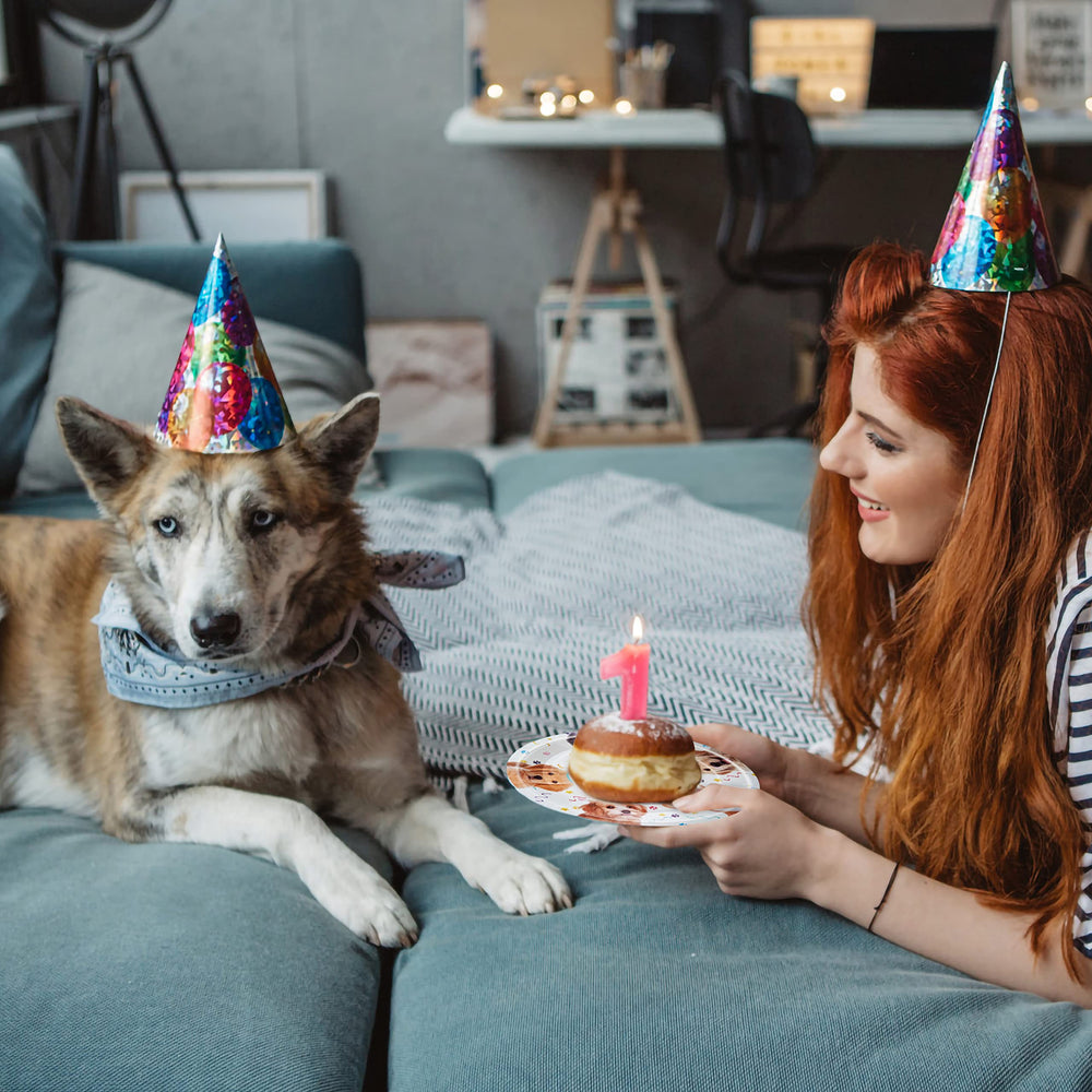 Fesciory dog theme decor enhances festive atmosphere