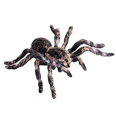 FLORMOON Giant Whiteknee spider front view for classroom display and imaginative play.