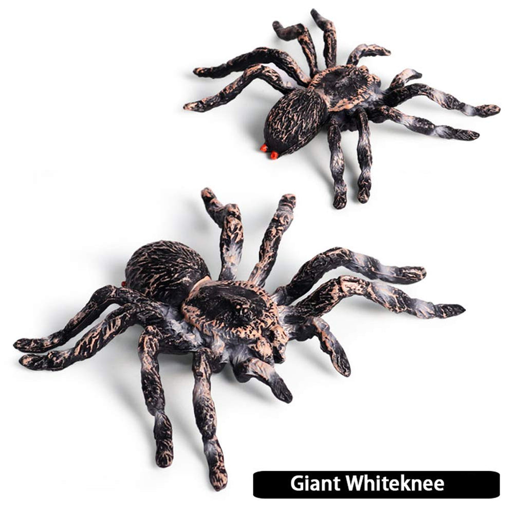 FLORMOON Giant Whiteknee textured body shows hand-painted realism for crafts.