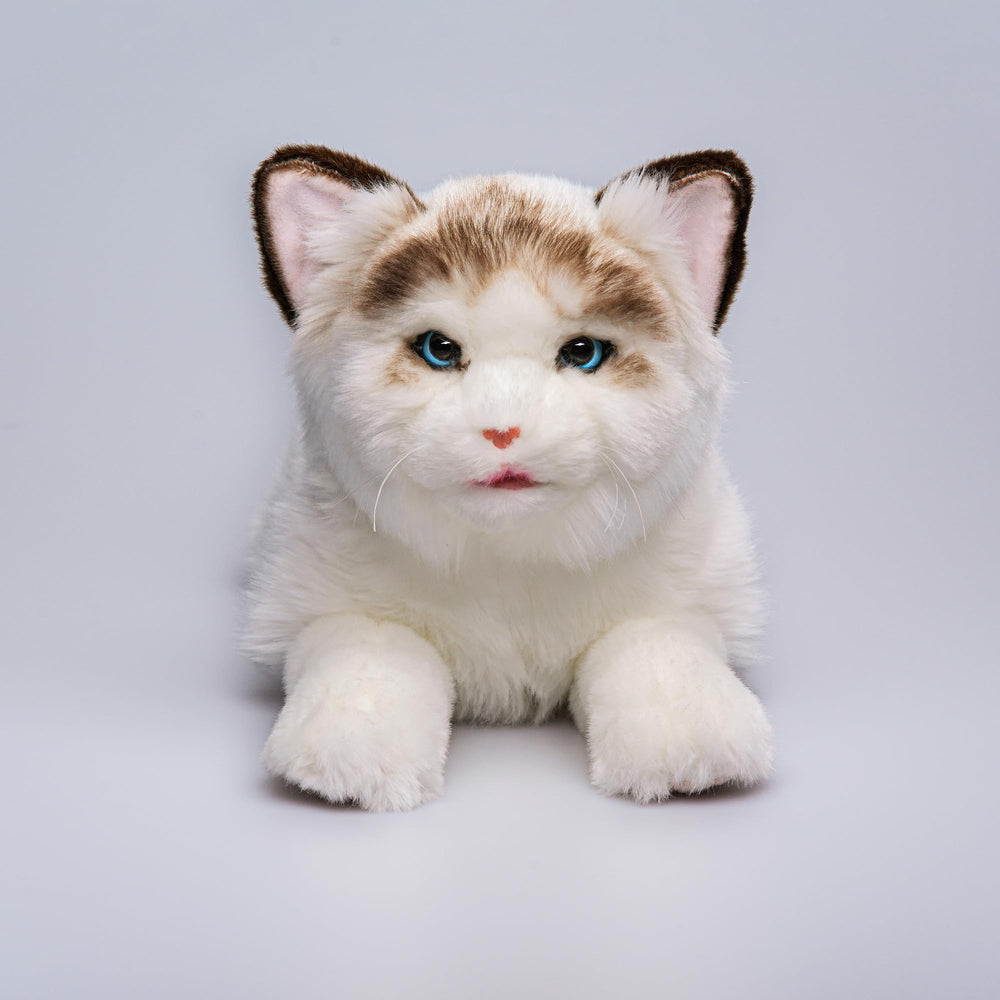 FLUFFYFUN Blinks Meows Purrs cat responds to touch with head blink and genuine meow