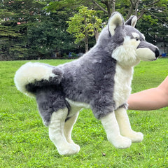 FLUFFYFUN Official CPC certified plush for safety and quality.