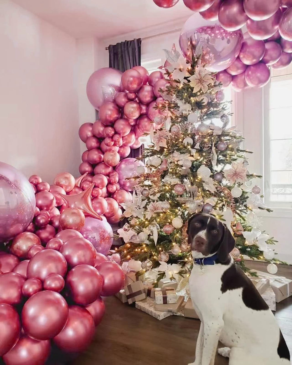 FOTIOMRG graduation party pink balloons enhance photo-worthy decorations.