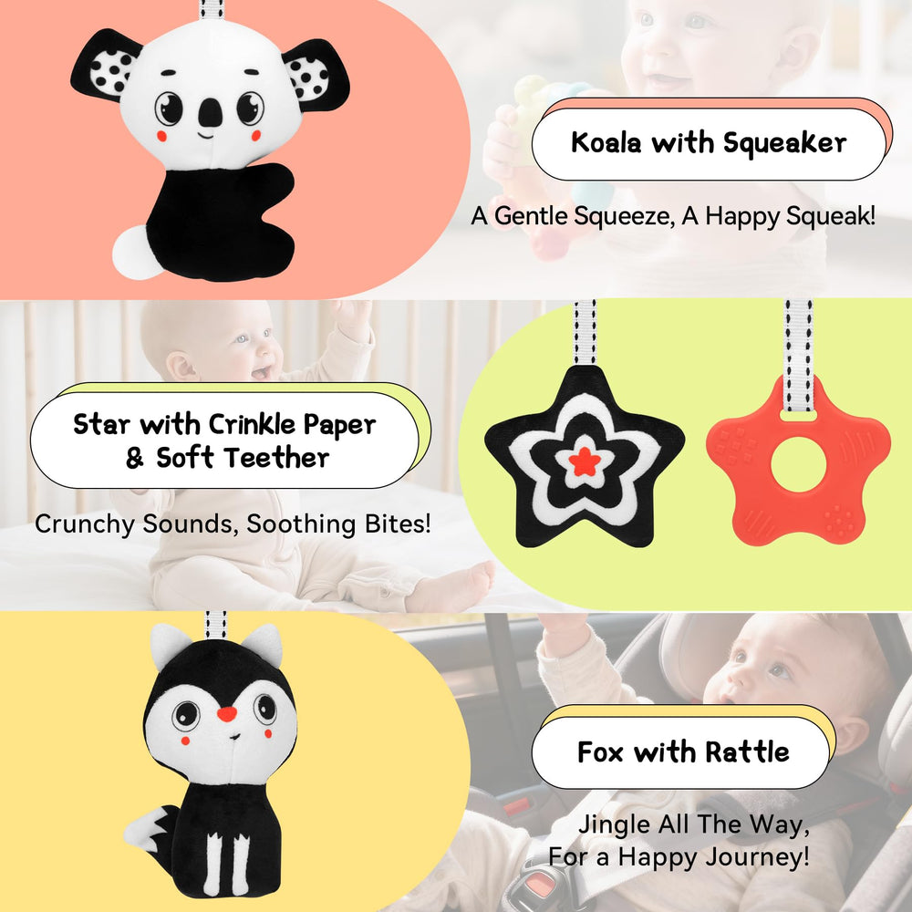 FPVERA rustle-paper and rattle capture baby attention for sensory exploration